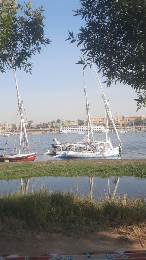 Villa Victoria Old Nile View Луксор Экстерьер фото